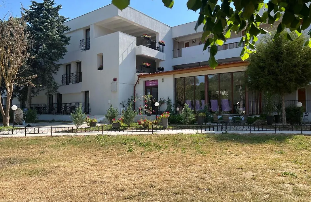 Hotel Violeta-1