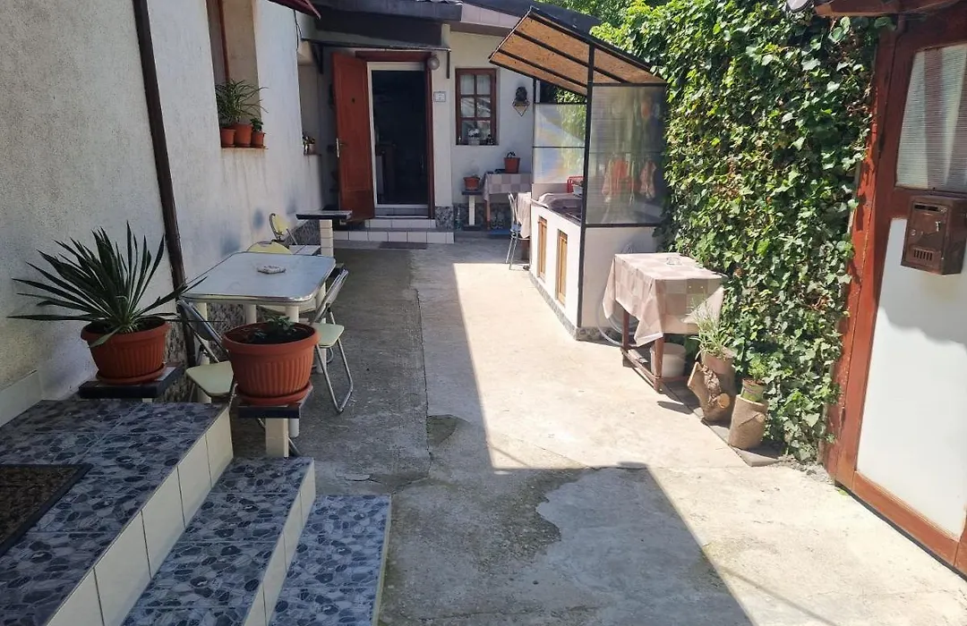 Casa Rozelor-1