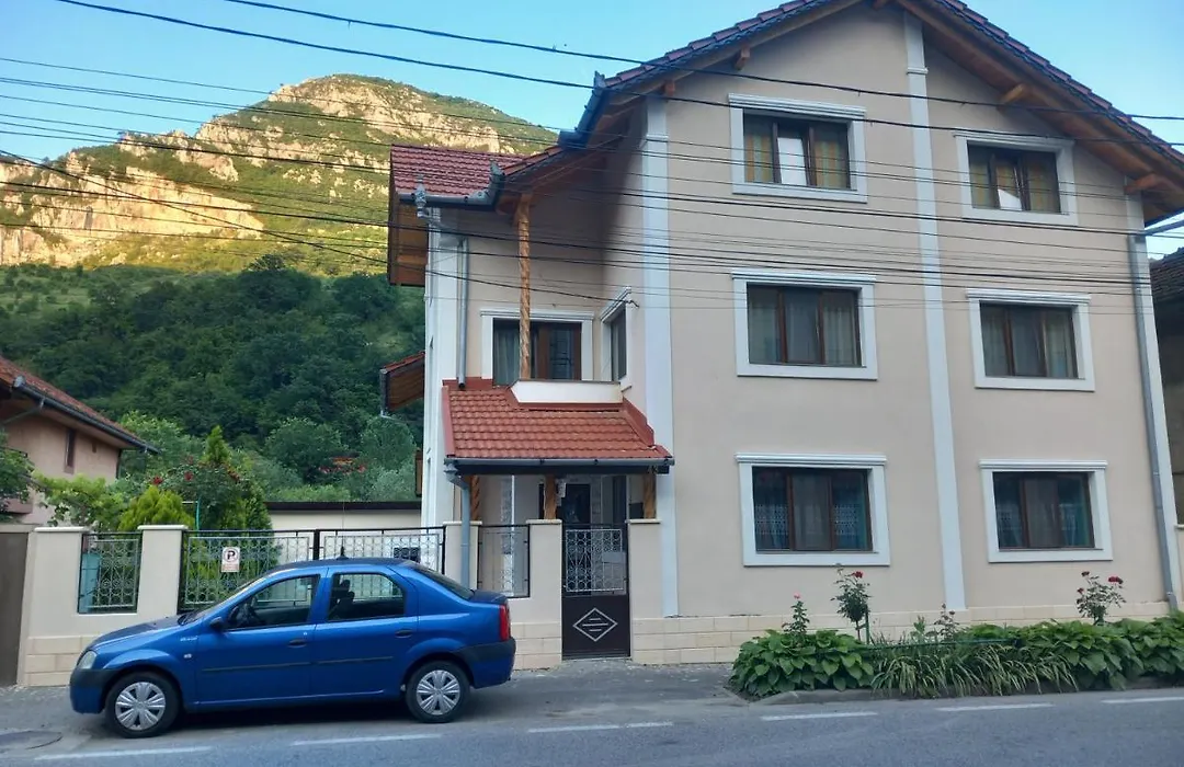 Casa Peneșel-1