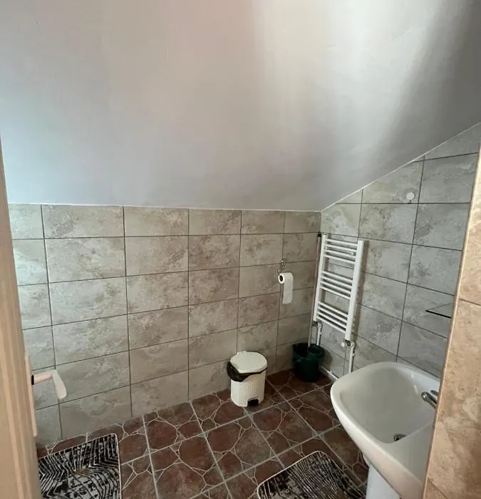 Pensiunea Casa Ana-1