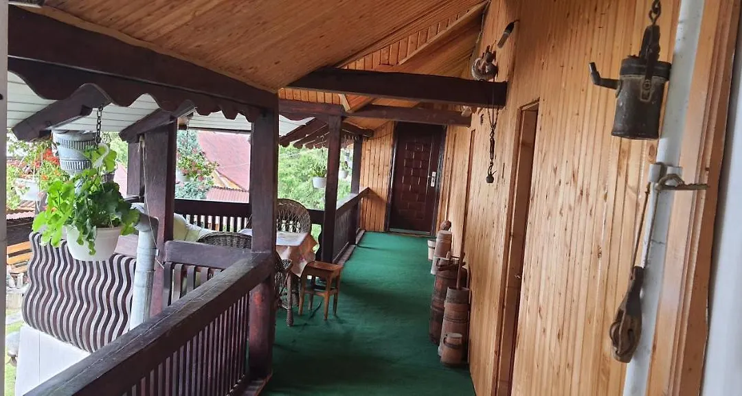 Casa Lucian Hotel-1
