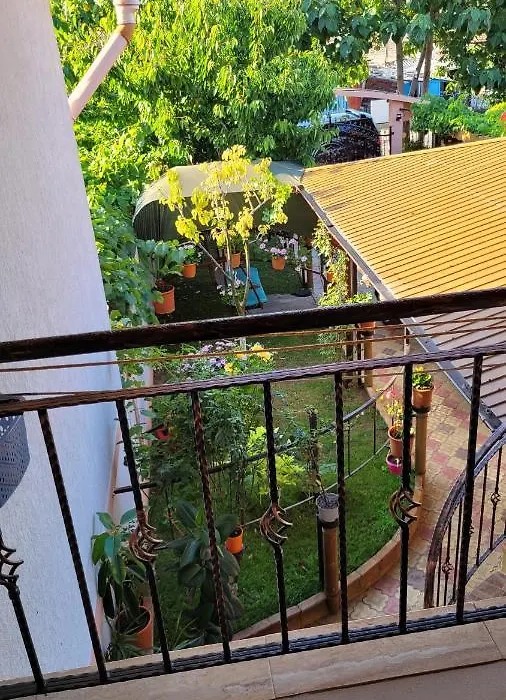 Casa Mld-1