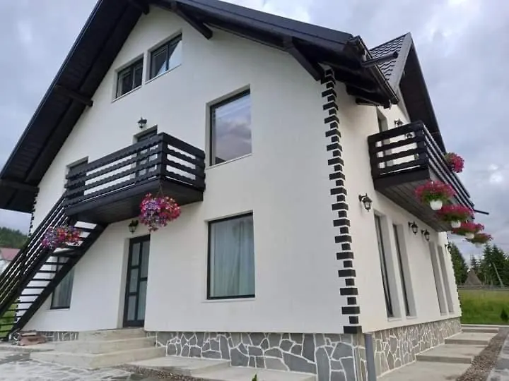 Casa Lena -Vatra Dornei-1