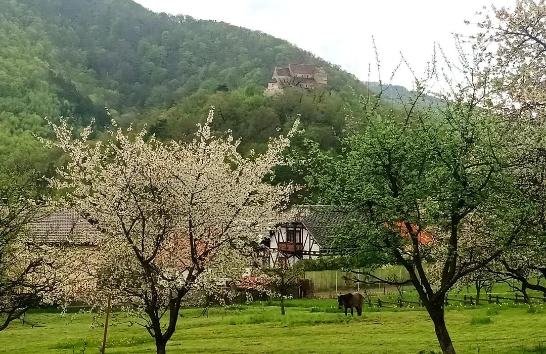 Elimheim-1