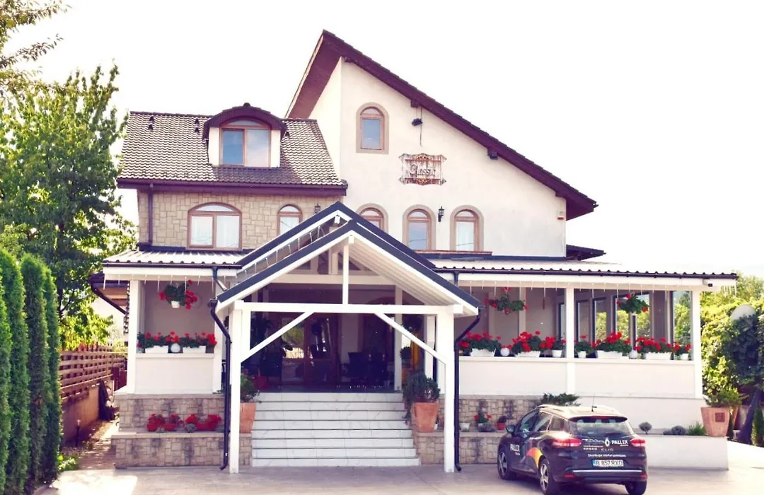 Pensiunea Classic Hotel-1