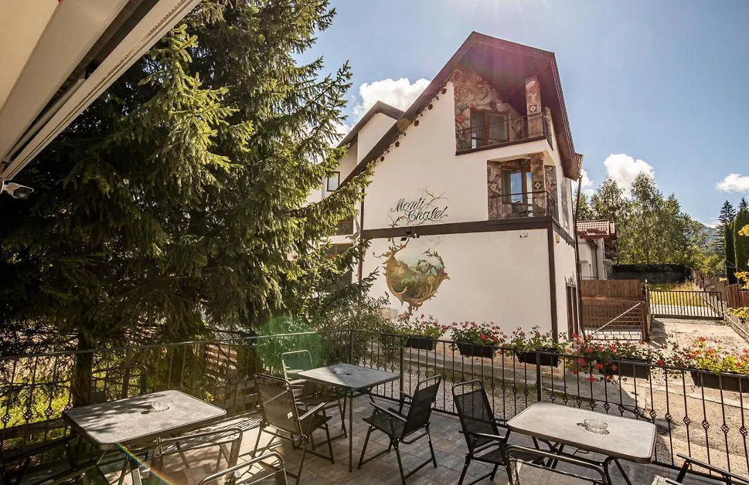 Monti Chalet-1