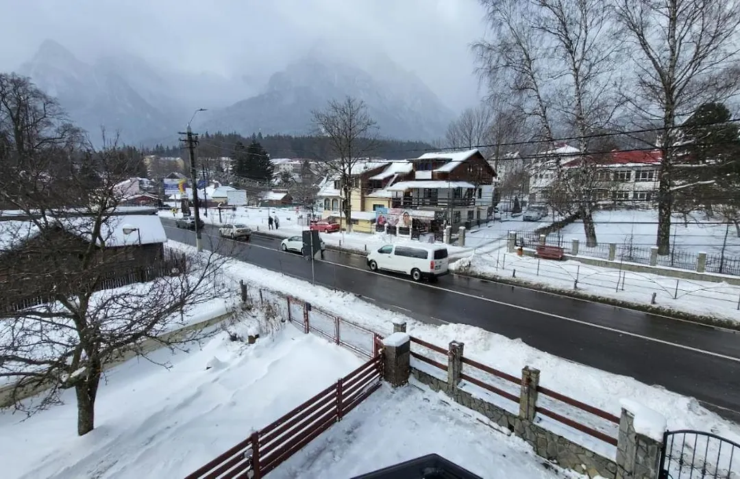 Alpin Busteni-1