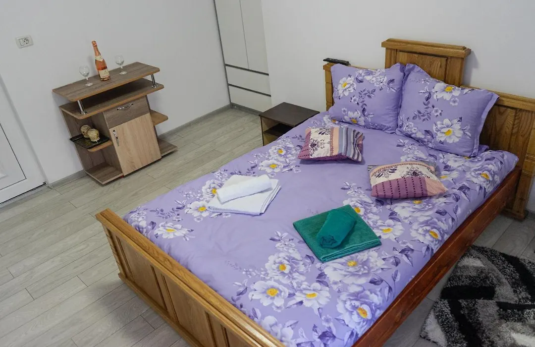 Casa Calin-1