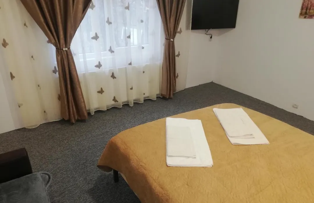 Casa Bucur-1