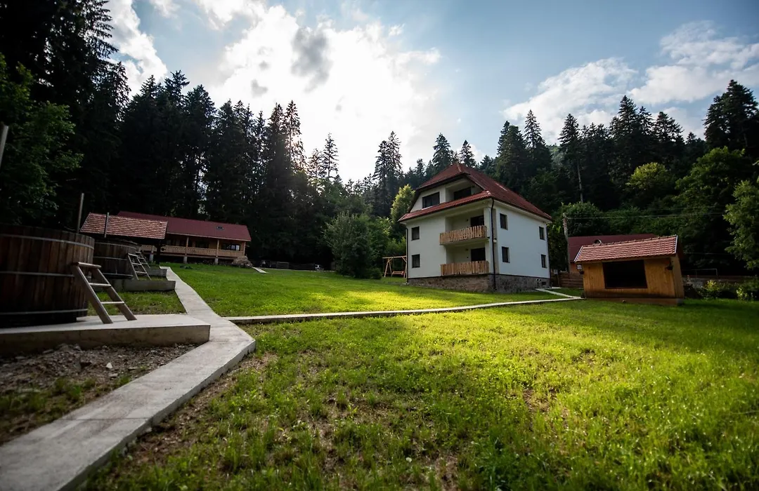 Forest Resort-1