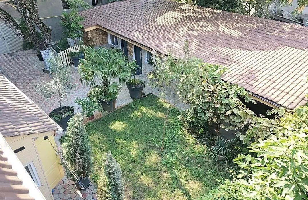 Stay In Tmisoara-1