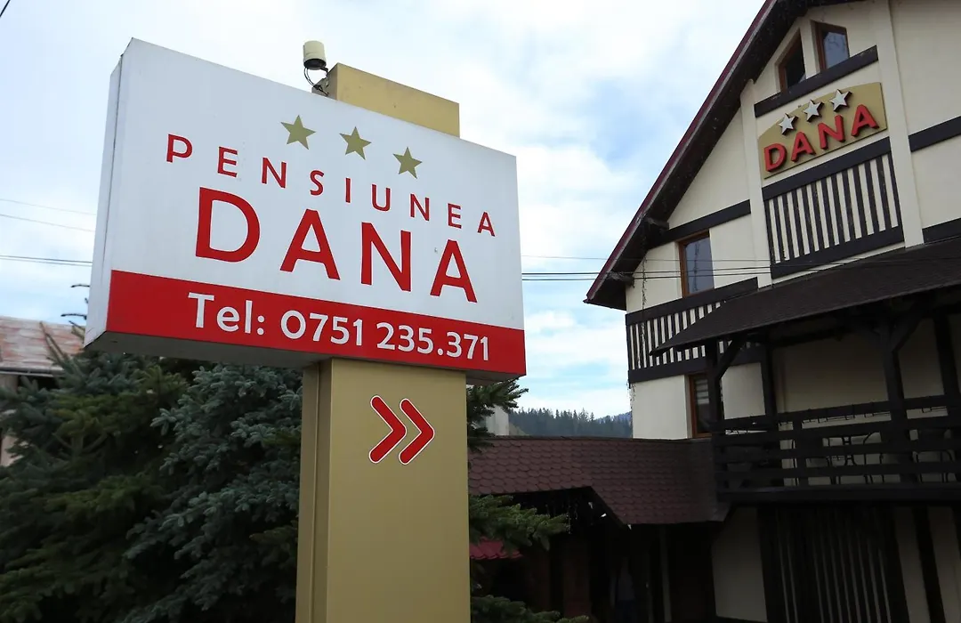 Pensiunea Dana-1
