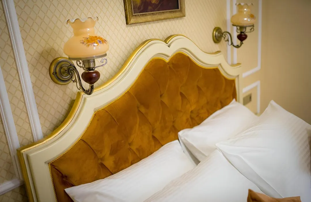 Cochet House Sibiu-1