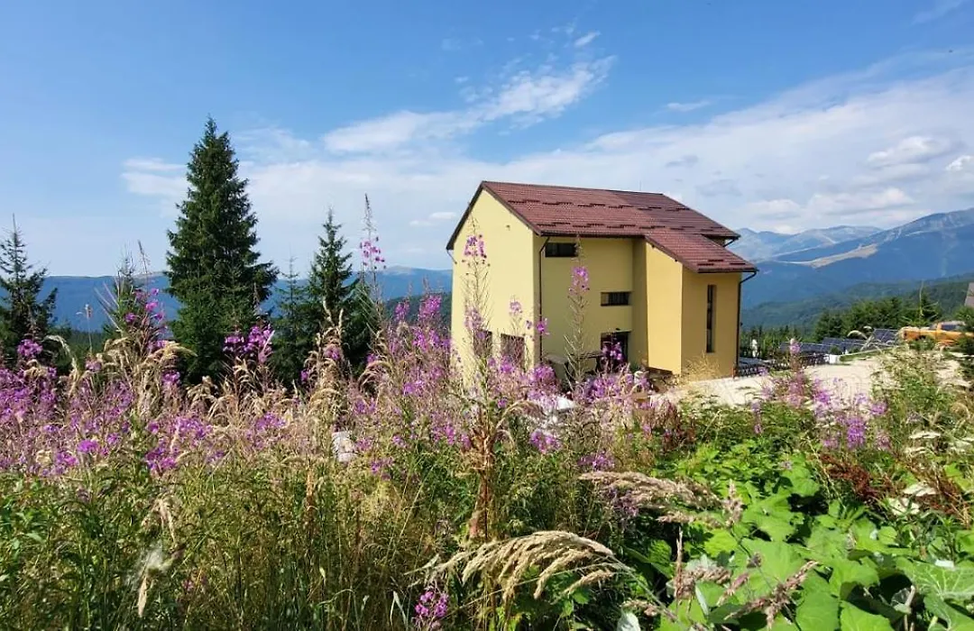Pension Valea Mariei-1
