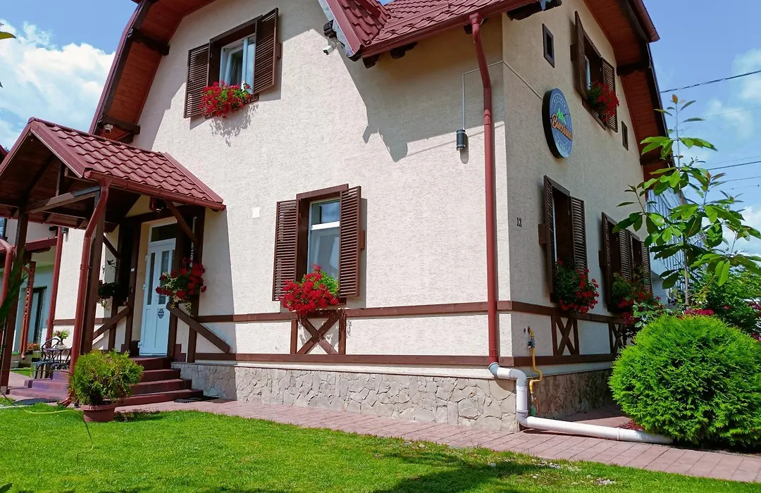 Residence Rooms Bucovina-1