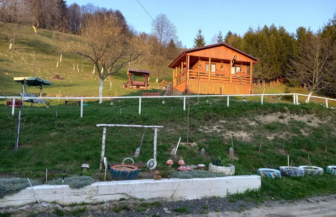 Casa Geanina-1