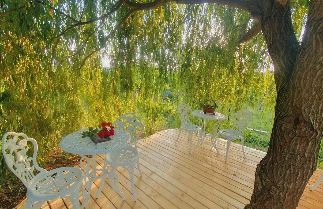 Casa de vacanta Madalina-1