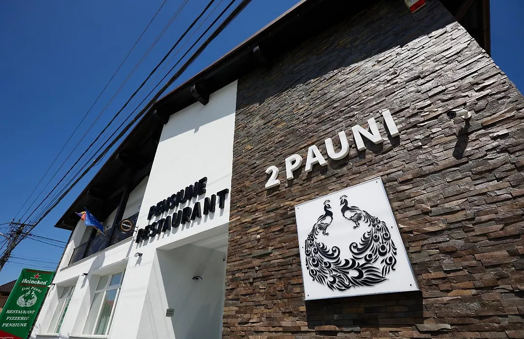 Pensiune Restaurant Pizzerie 2 Păuni-1