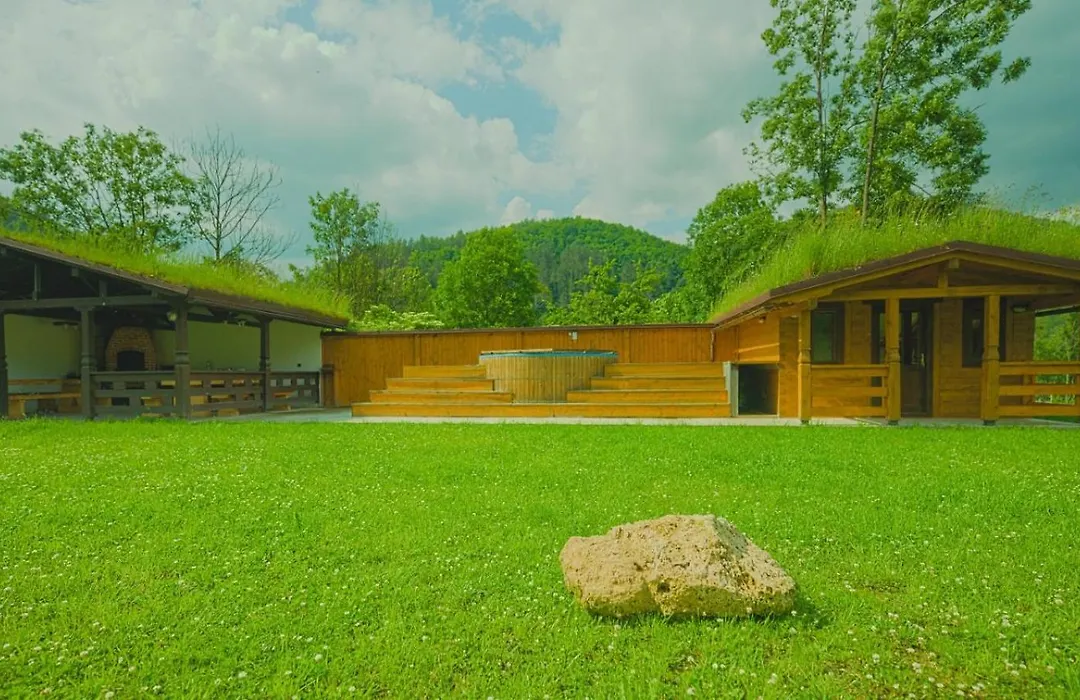 Pensiunea Casa Iancului-1