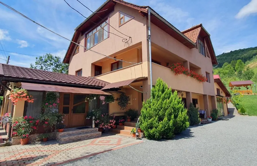 Pensiunea Apuseni-1
