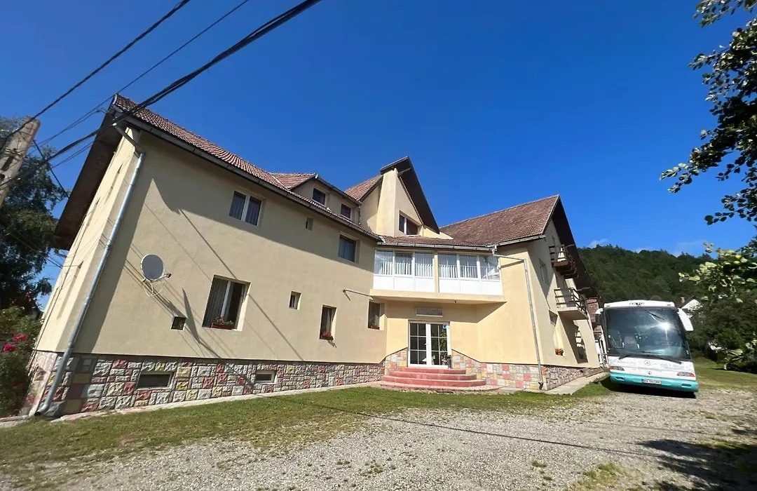 Vila Cretu Bran-1