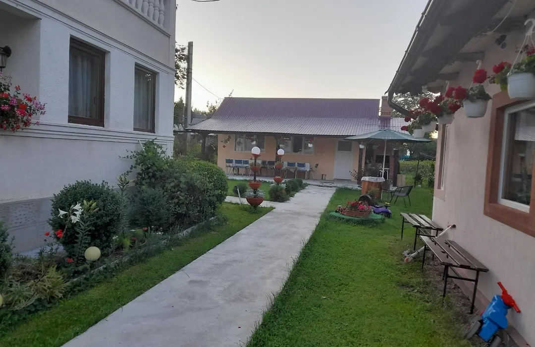 Casa Ionescu-1