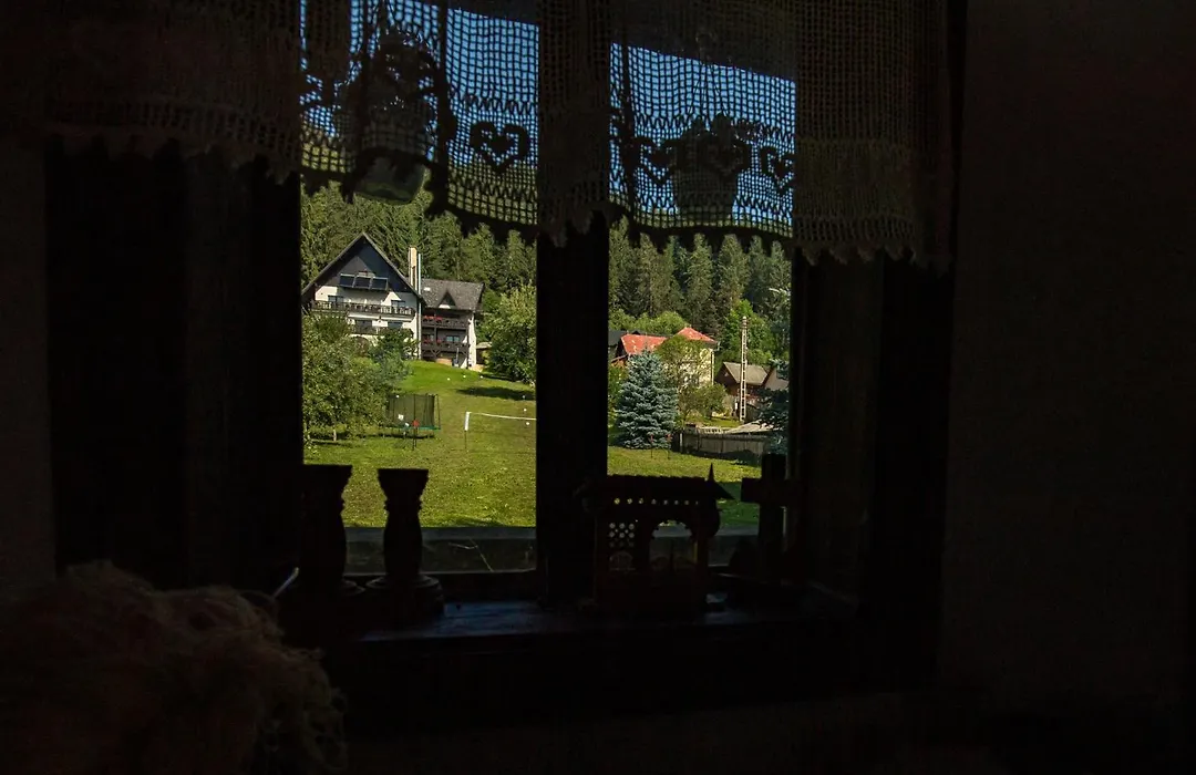 Bucovina Lodge Pension-1