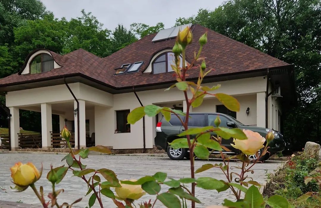 Provence Suceava-1