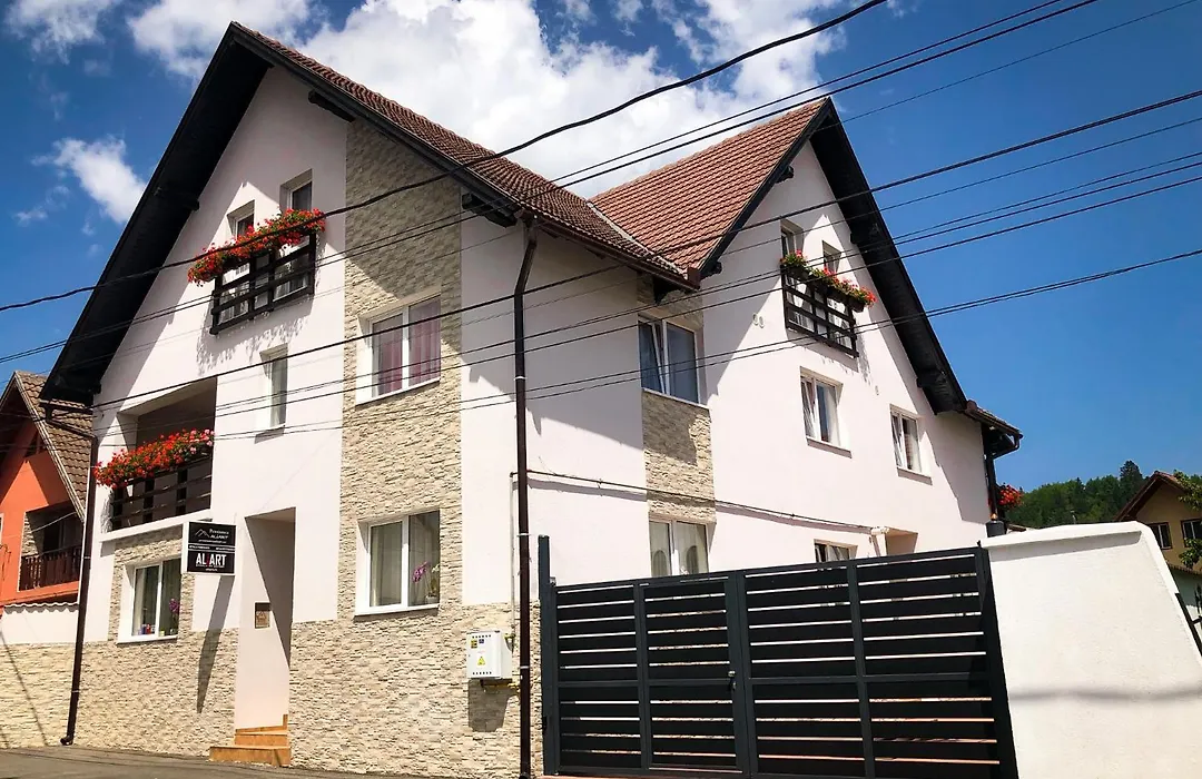 Pensiunea Aliart-1