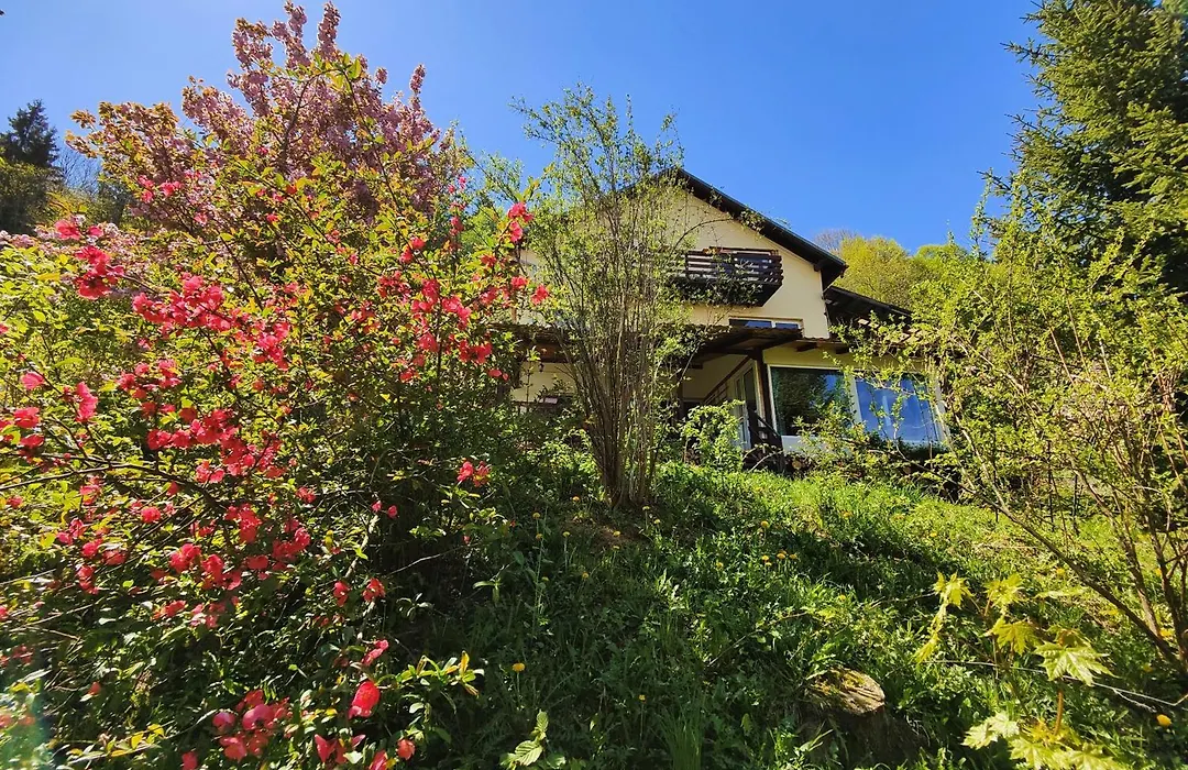 Casa De Sub Padure-1