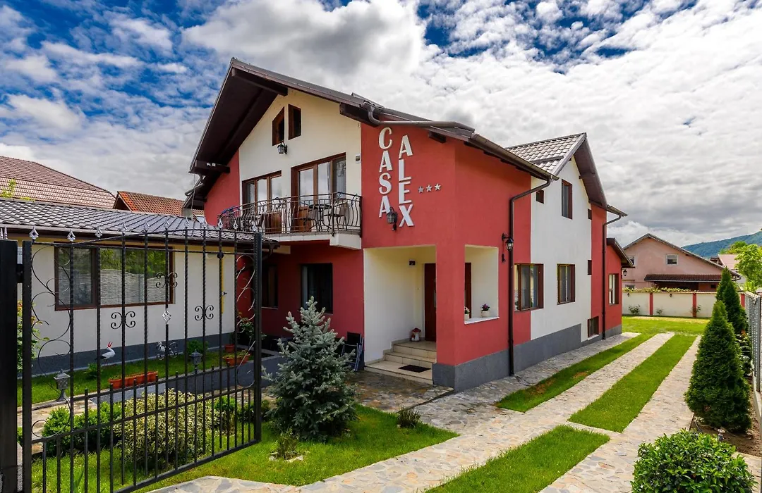 Casa Alex Calimanesti-1