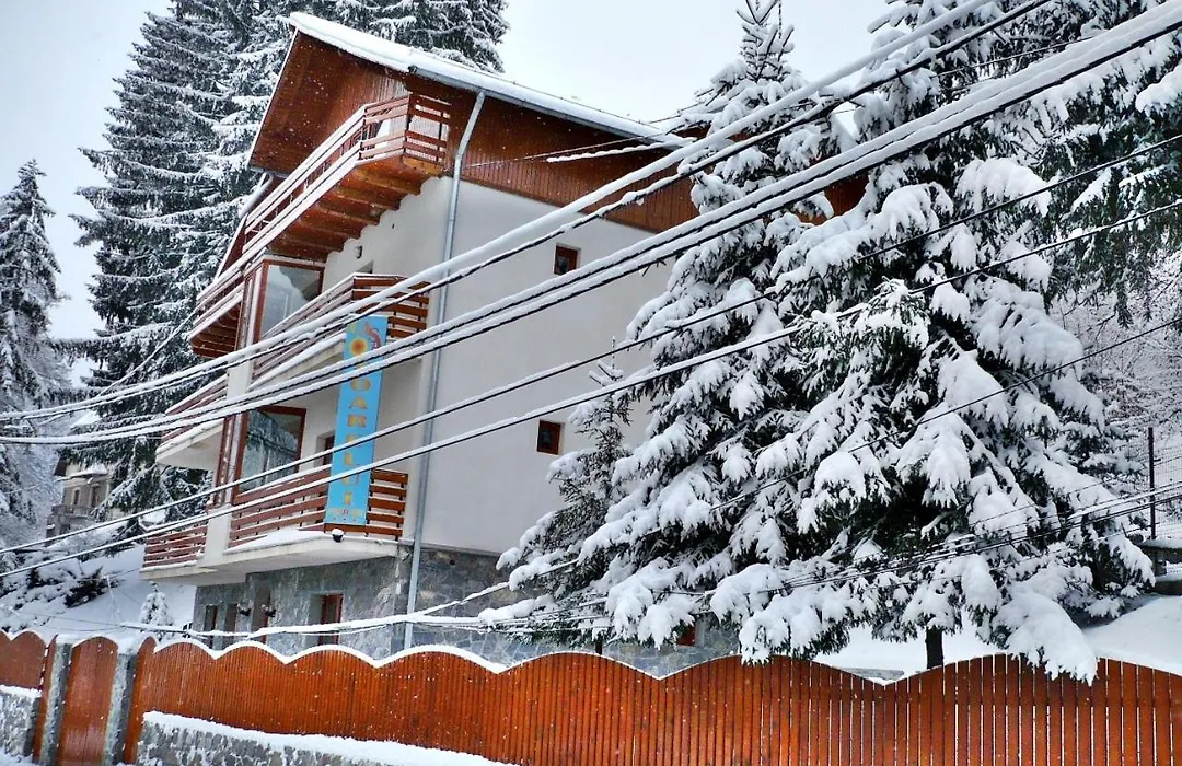 Pension Casa Soarelui-1