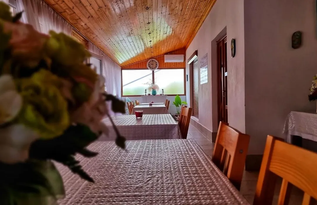 Pensiunea Casa Harly-1