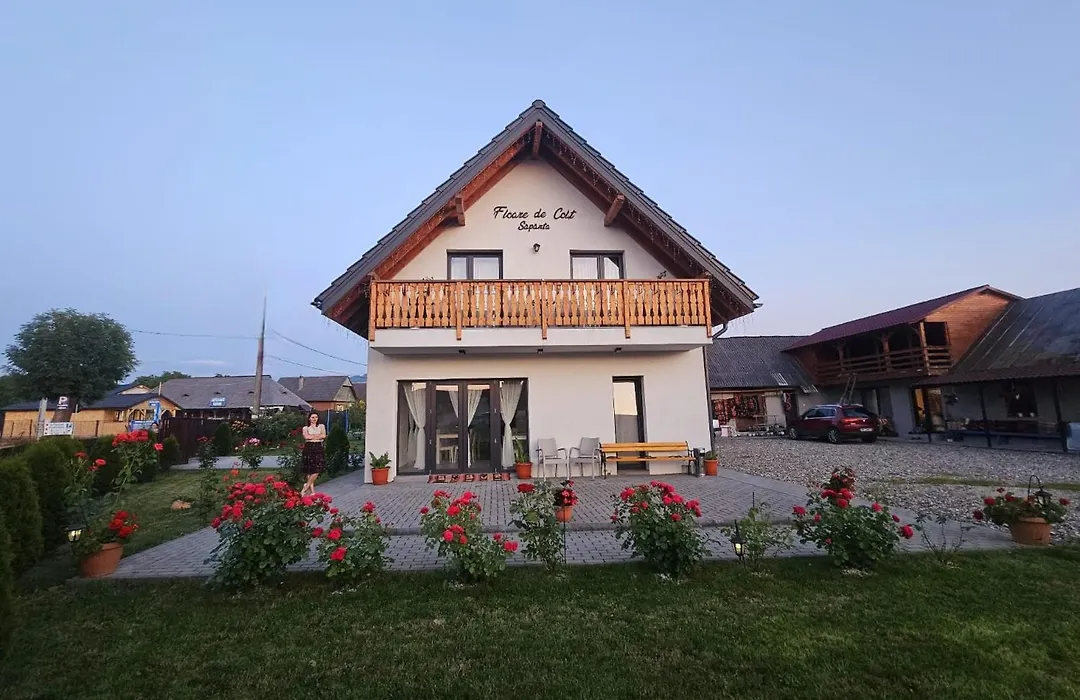 Floare de Colt Sapanta-1