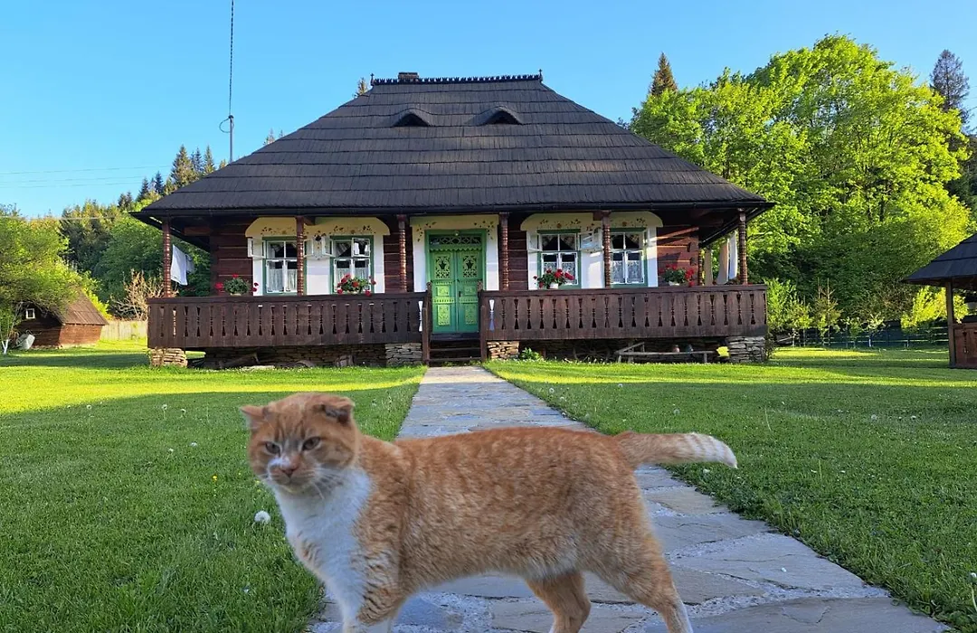 Casa Felicia-1