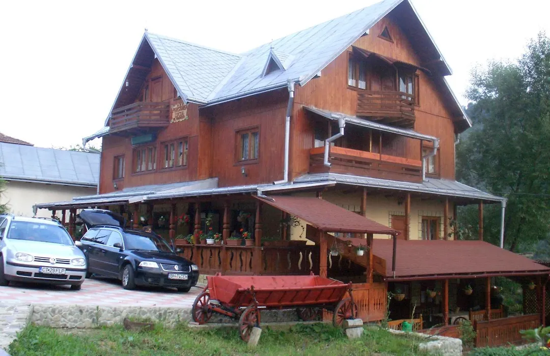 Pension Lucia Bucovina-1