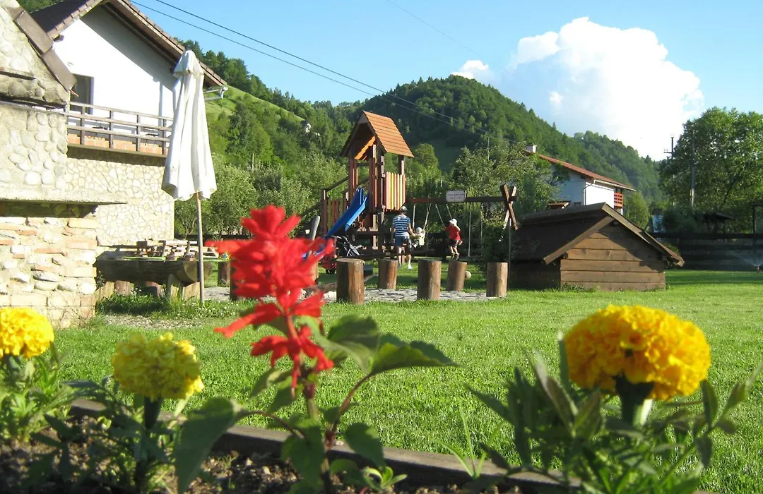 Pension Podul Turcului-1