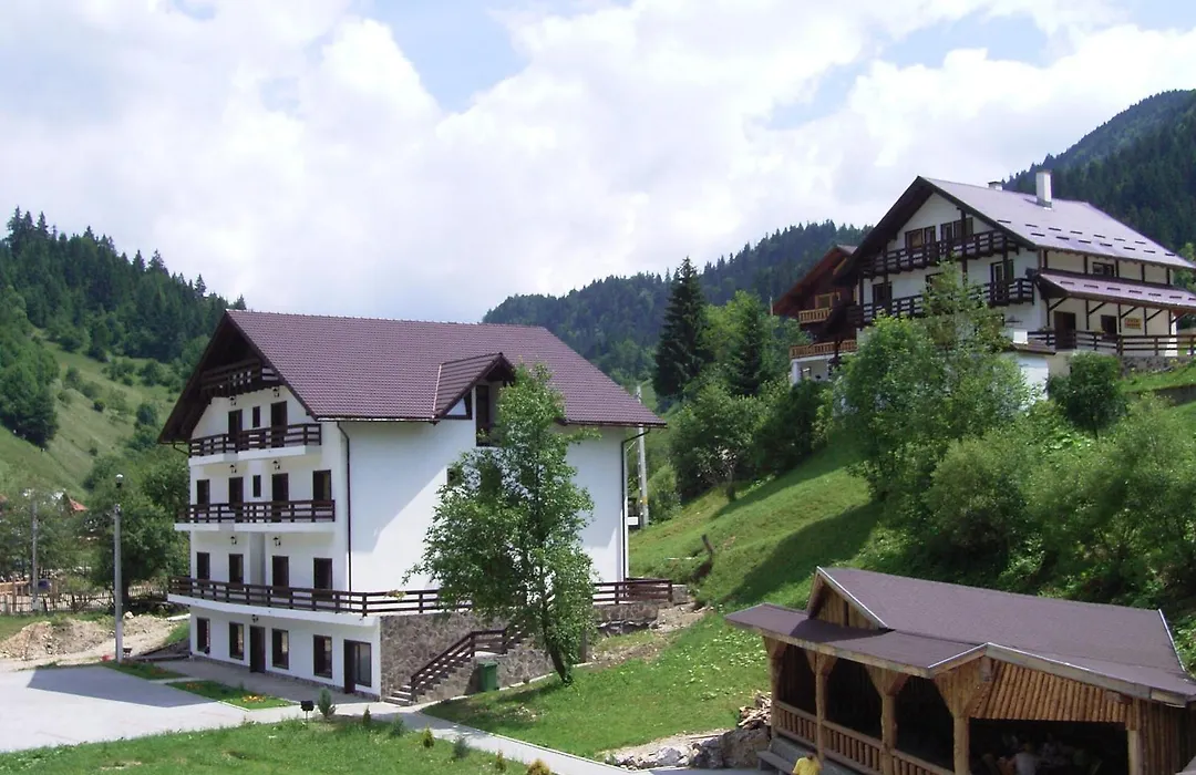 Resort Cheile Gradistei Moieciu-1