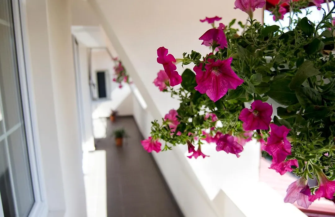 Hotel Tranzzit-1