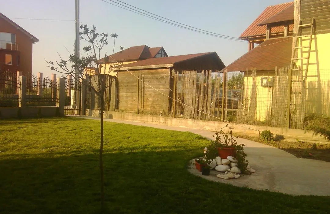 Casa Noastra-1