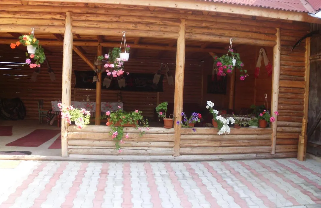 Pension Ioana Lavita-1