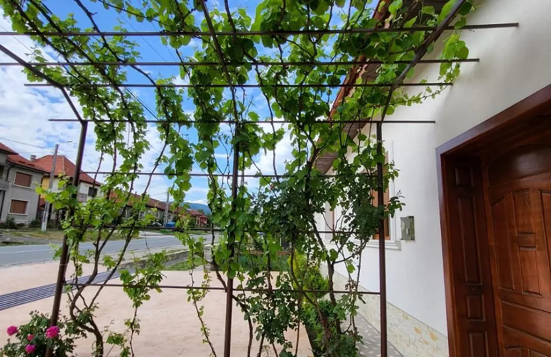 Casa Din Sat-1