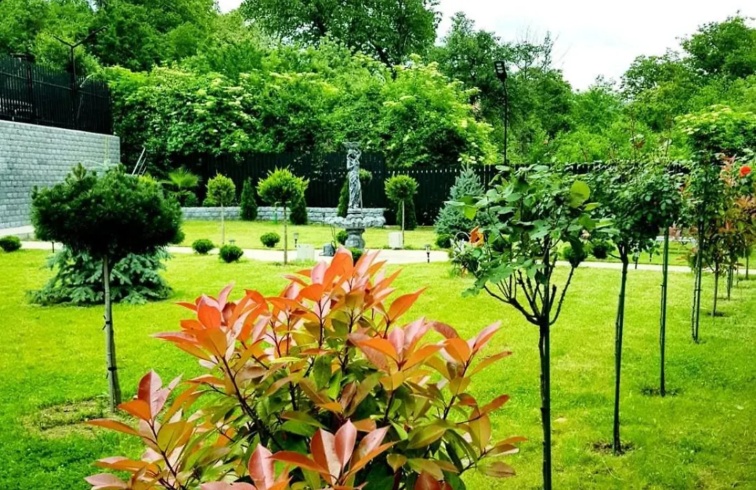 Grey Villas-1