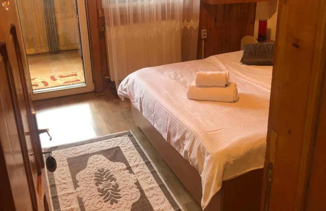 Casa de Vacanta Catrinel-1