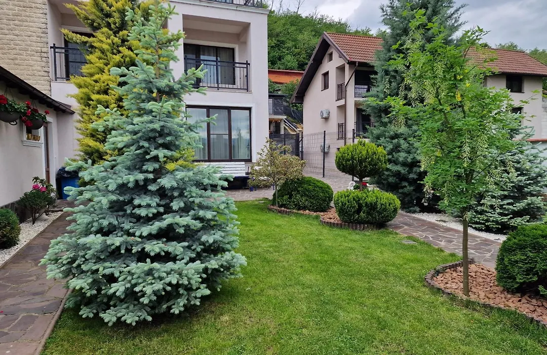 Casa Andrei-1