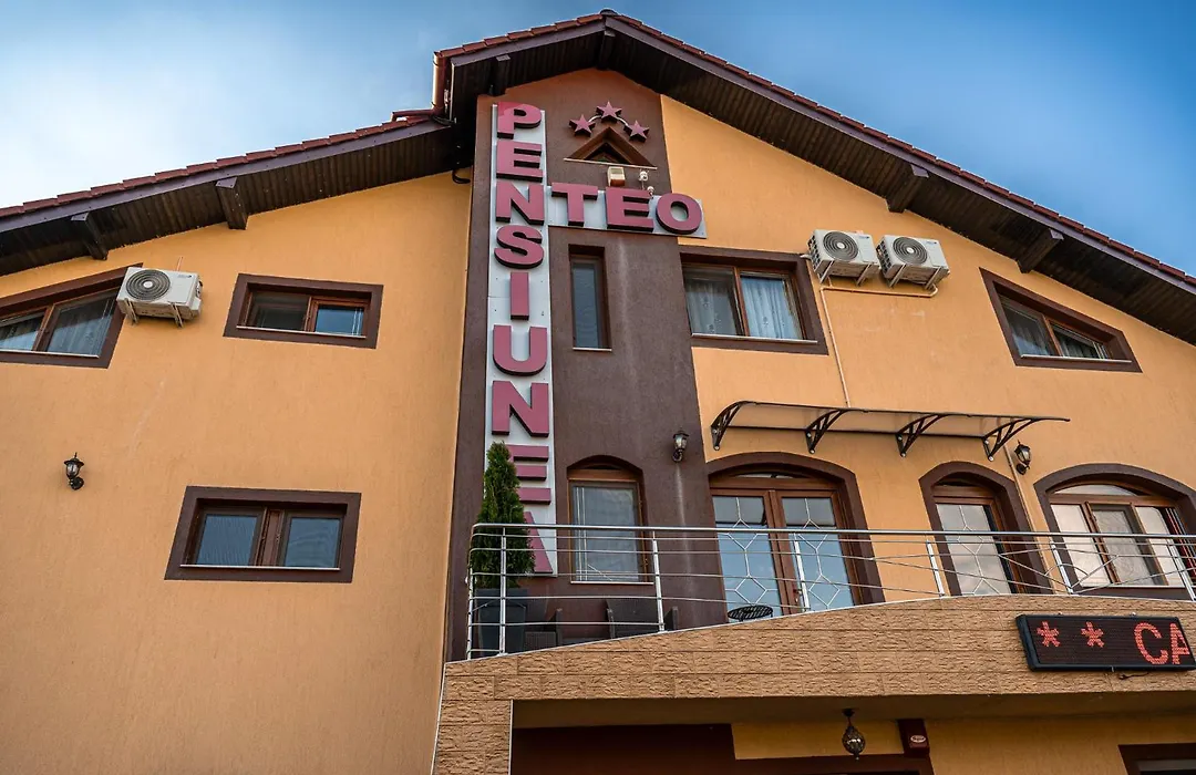 Pensiunea Teo-1