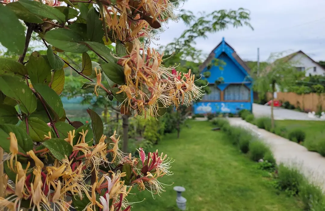 Casa Malul Dunării-1
