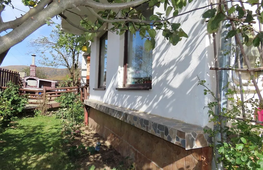 Vila Nik Busteni-1