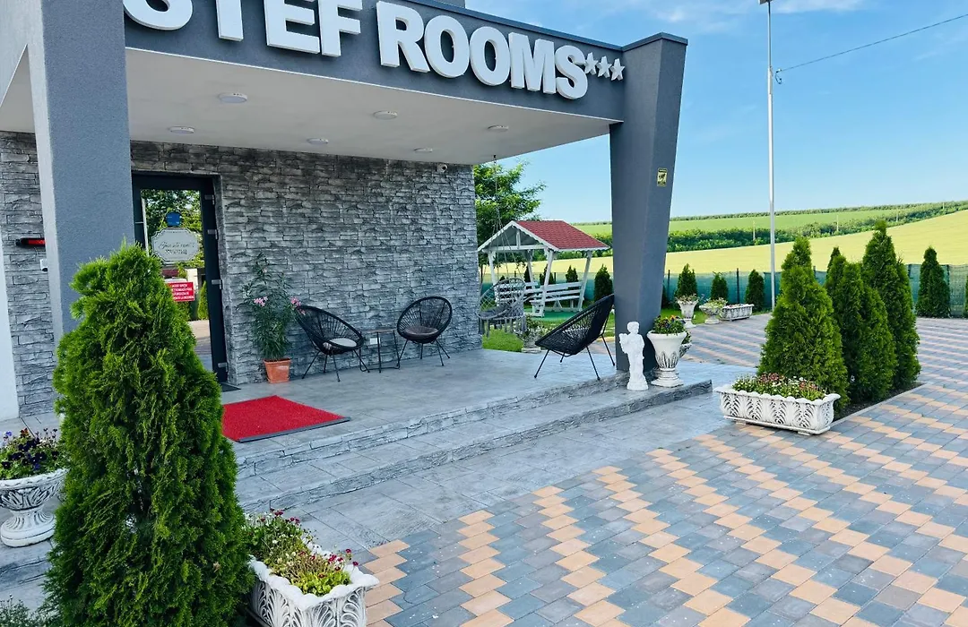Stef Rooms-1