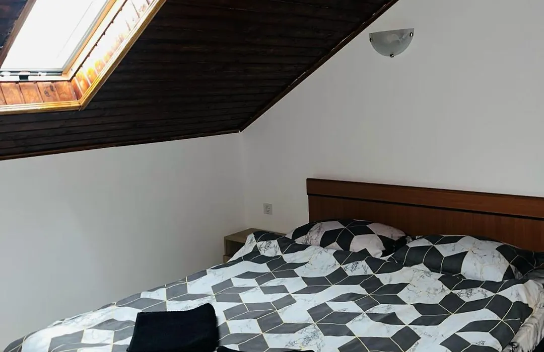 Casa Dumitru-1